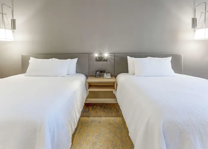 Hilton Garden Hotel Saint Charles
