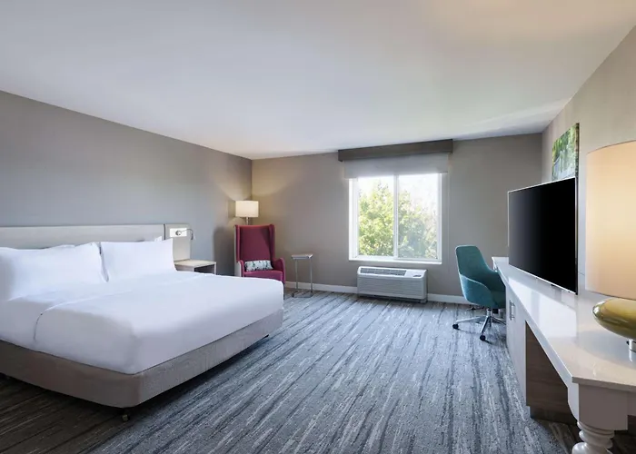 Hilton Garden 3*
